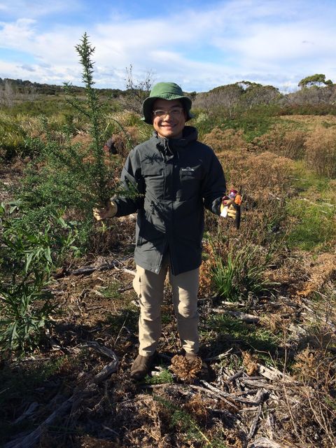 Restoration in the Seymour Wetlands Continues 