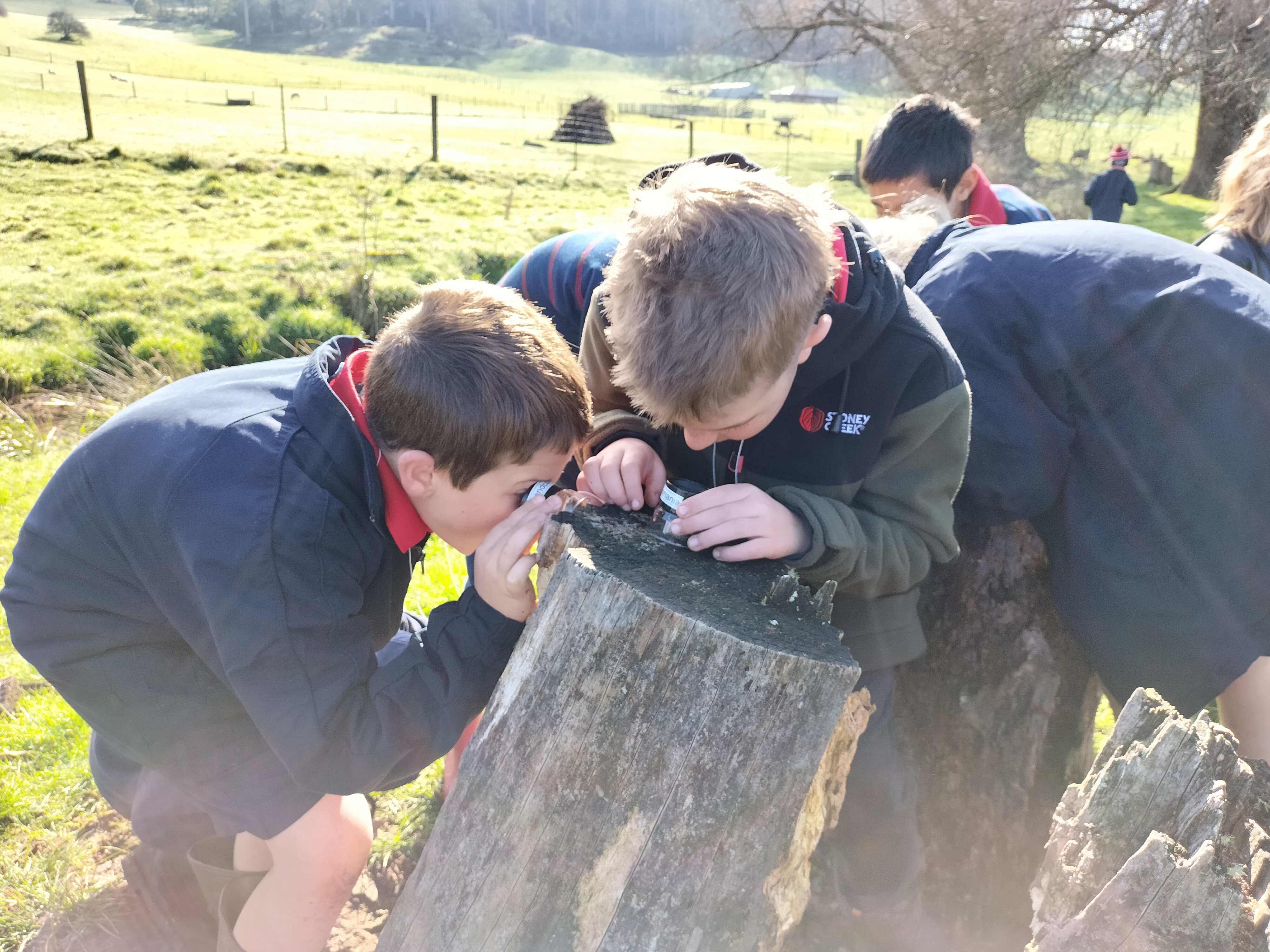 Citizen Science in Schools 