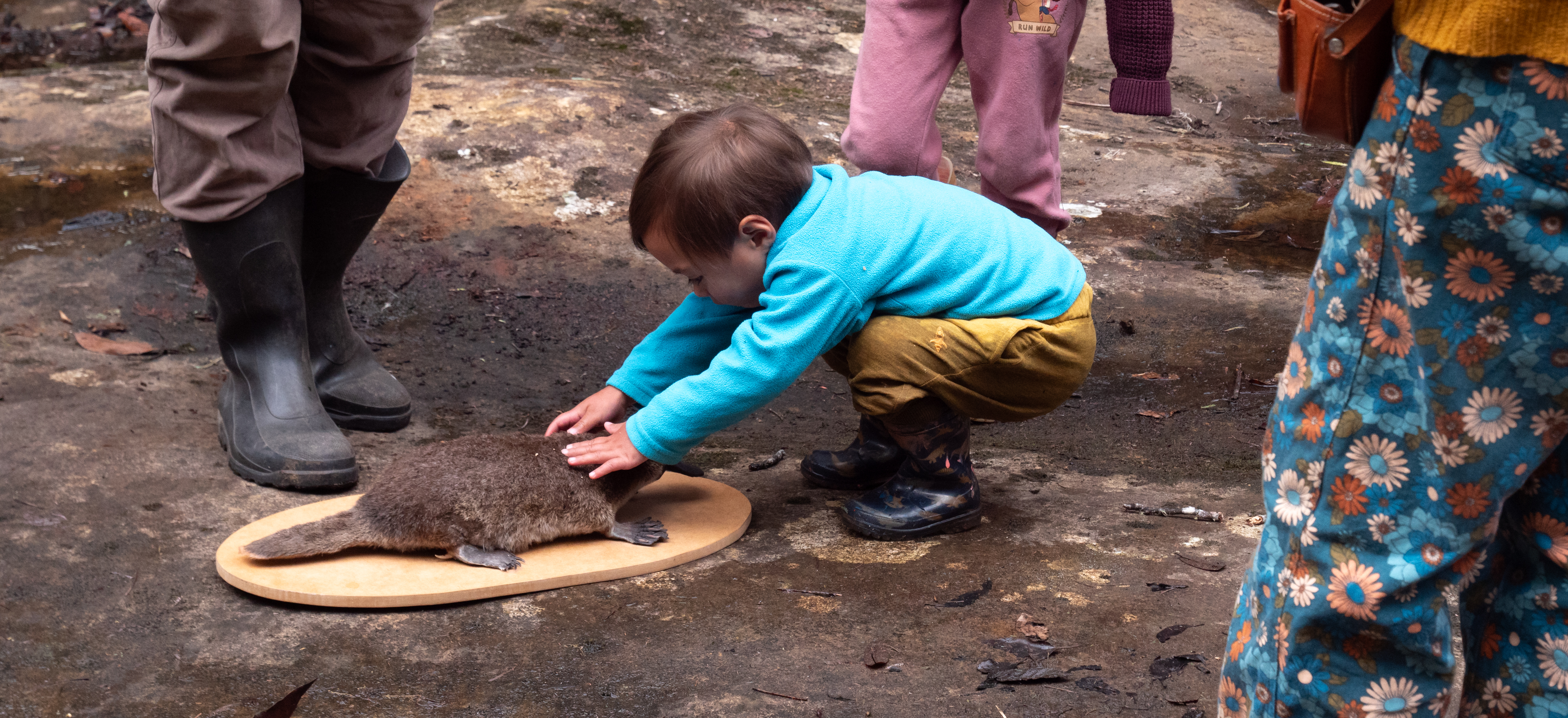 Kids connect with nature at Platypus and Waterbug Discovery Session 