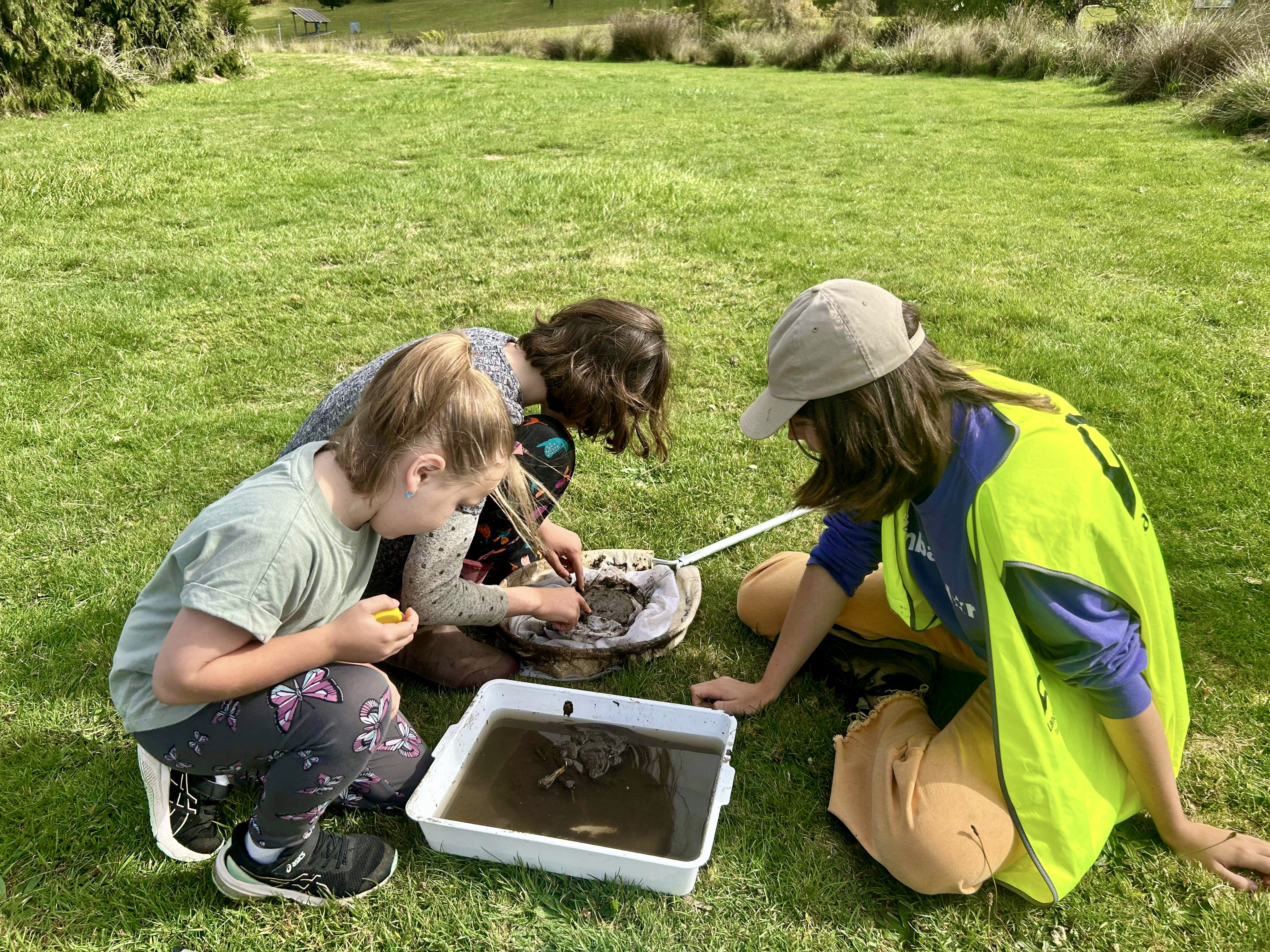 Bug Hunt at the Tas Arboretum