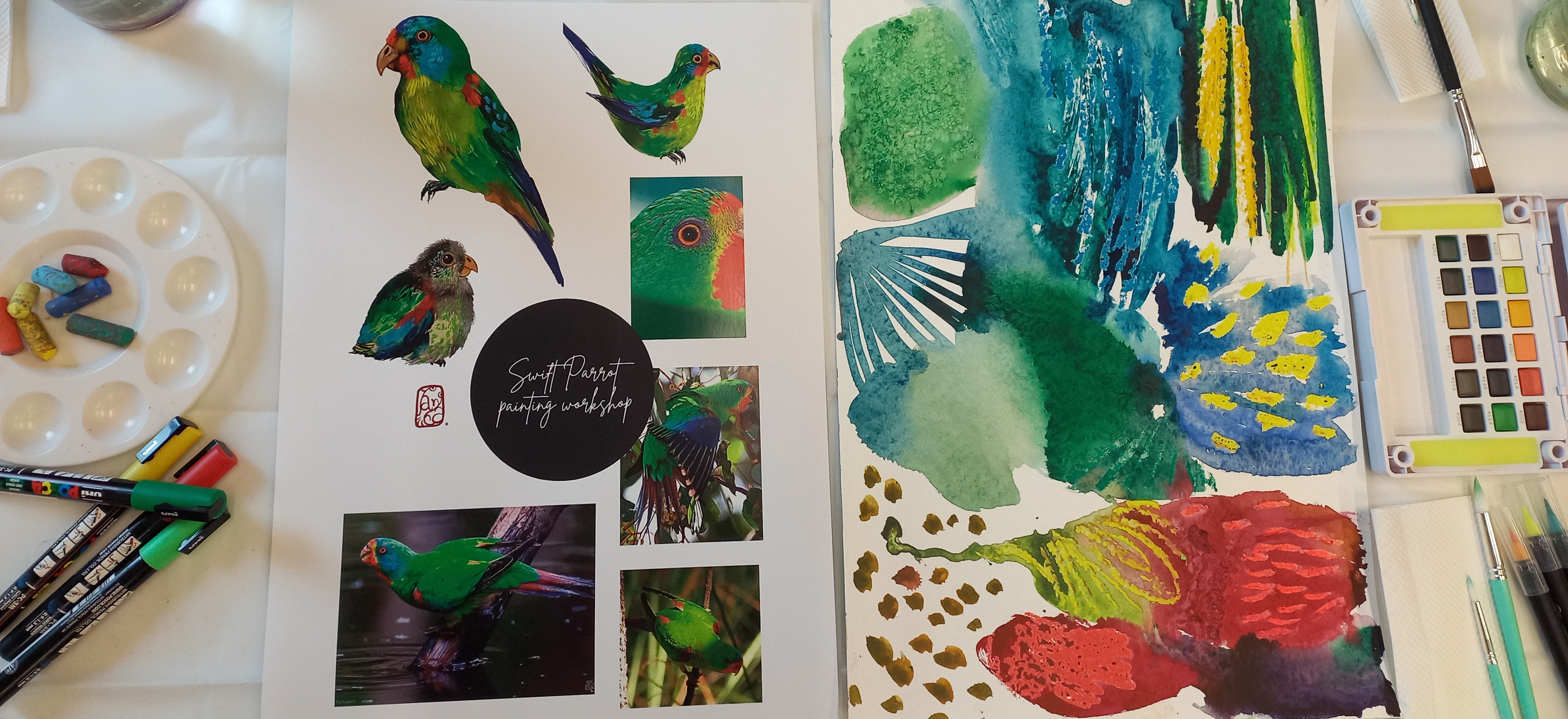 Swift parrot painting day at Eaglehawk Neck
