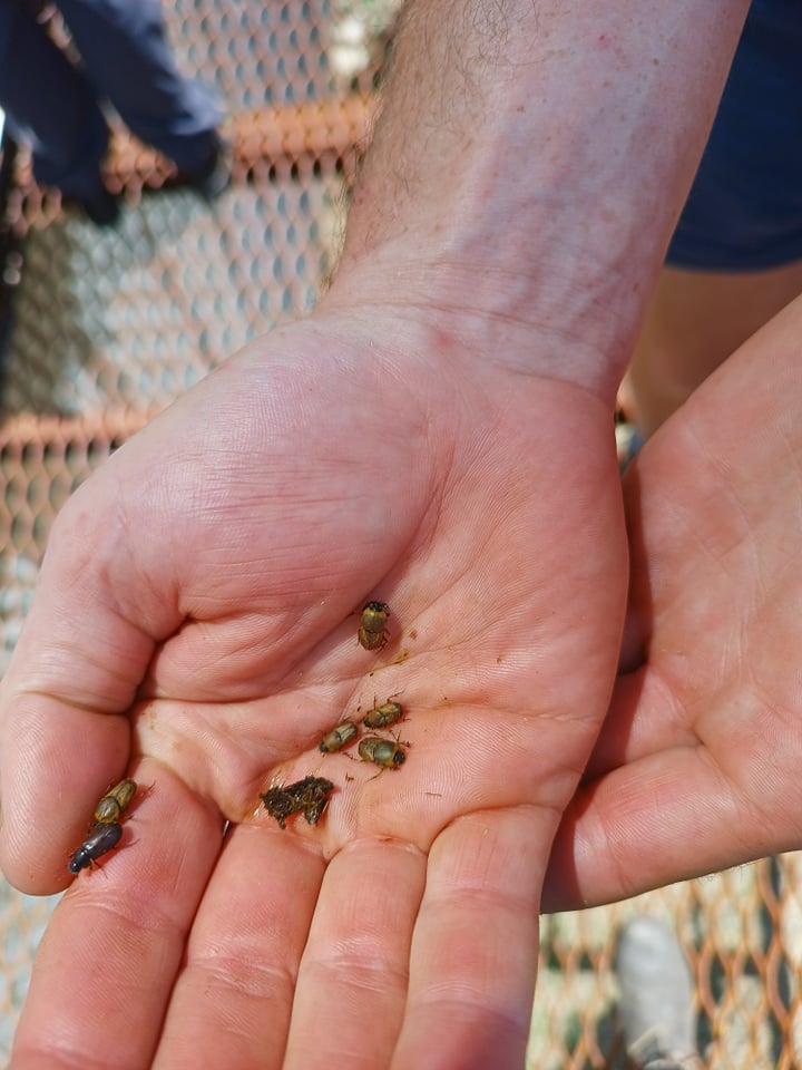 Kids to connect with soil health 