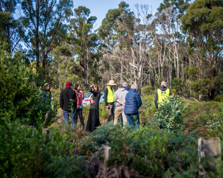 Project Launch: Plantation Restoration Workshop