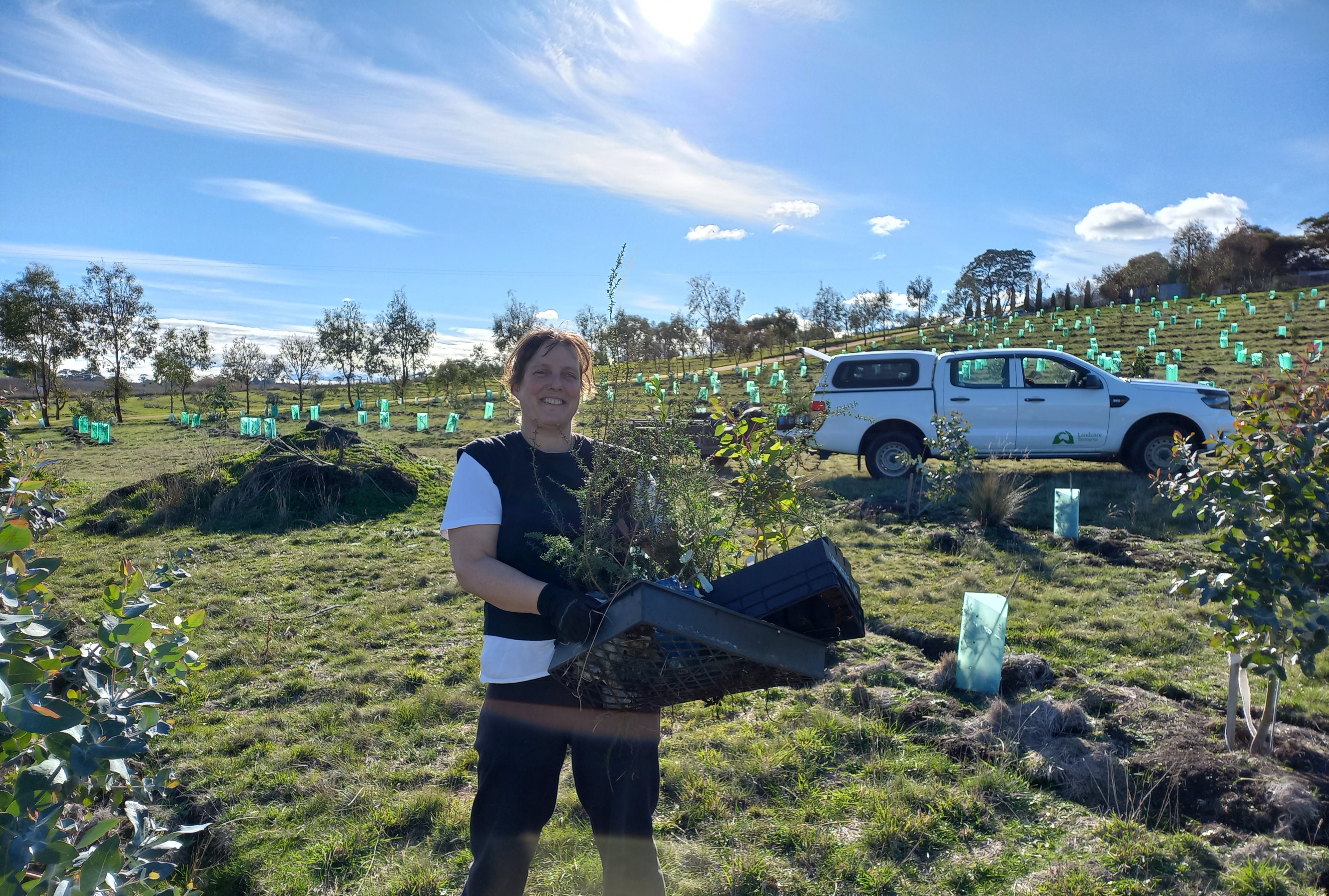 Corporate environmental volunteering in action at Pages Creek