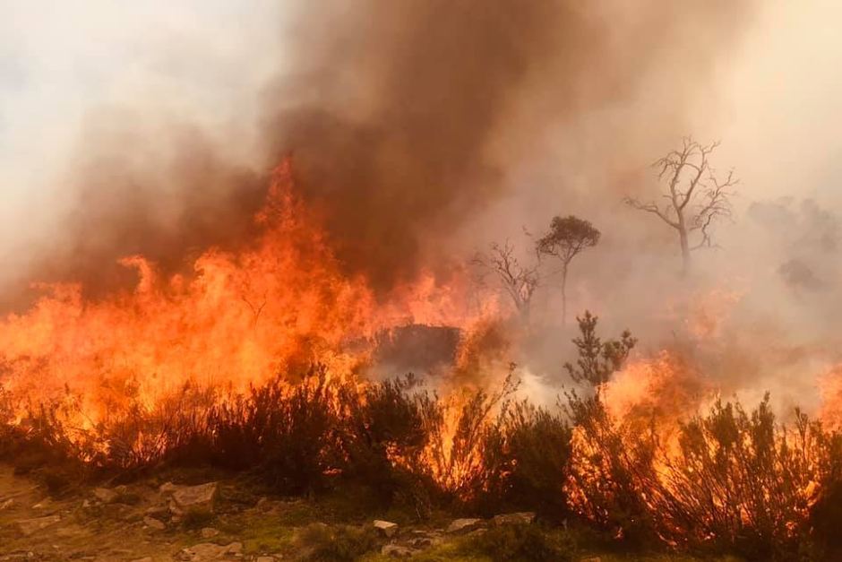 Getting Bushfire-Ready this Winter 