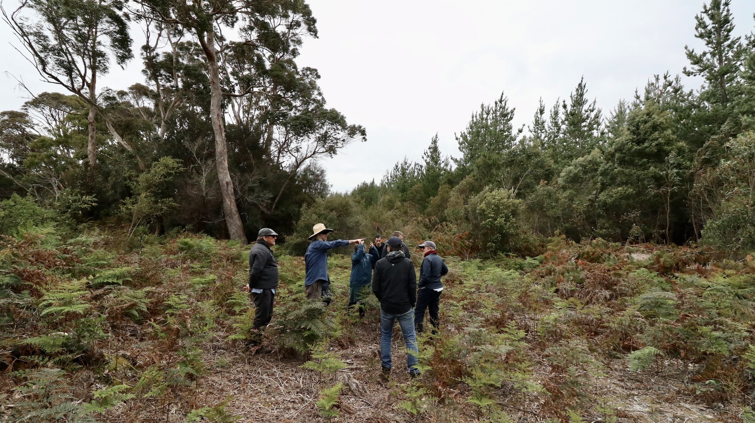 Strahan Ecological Restoration Workshop 