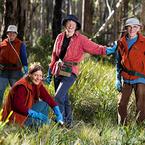 Biodiversity and Landcaring Grants