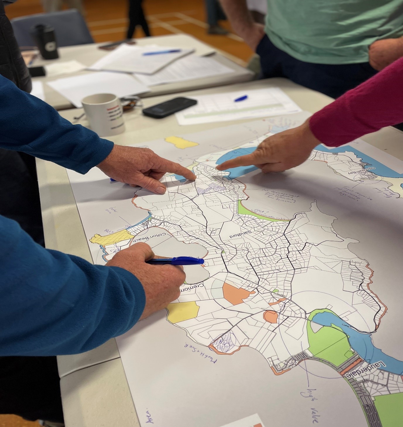 Tackling cat management on the South Arm Peninsula: A collaborative approach