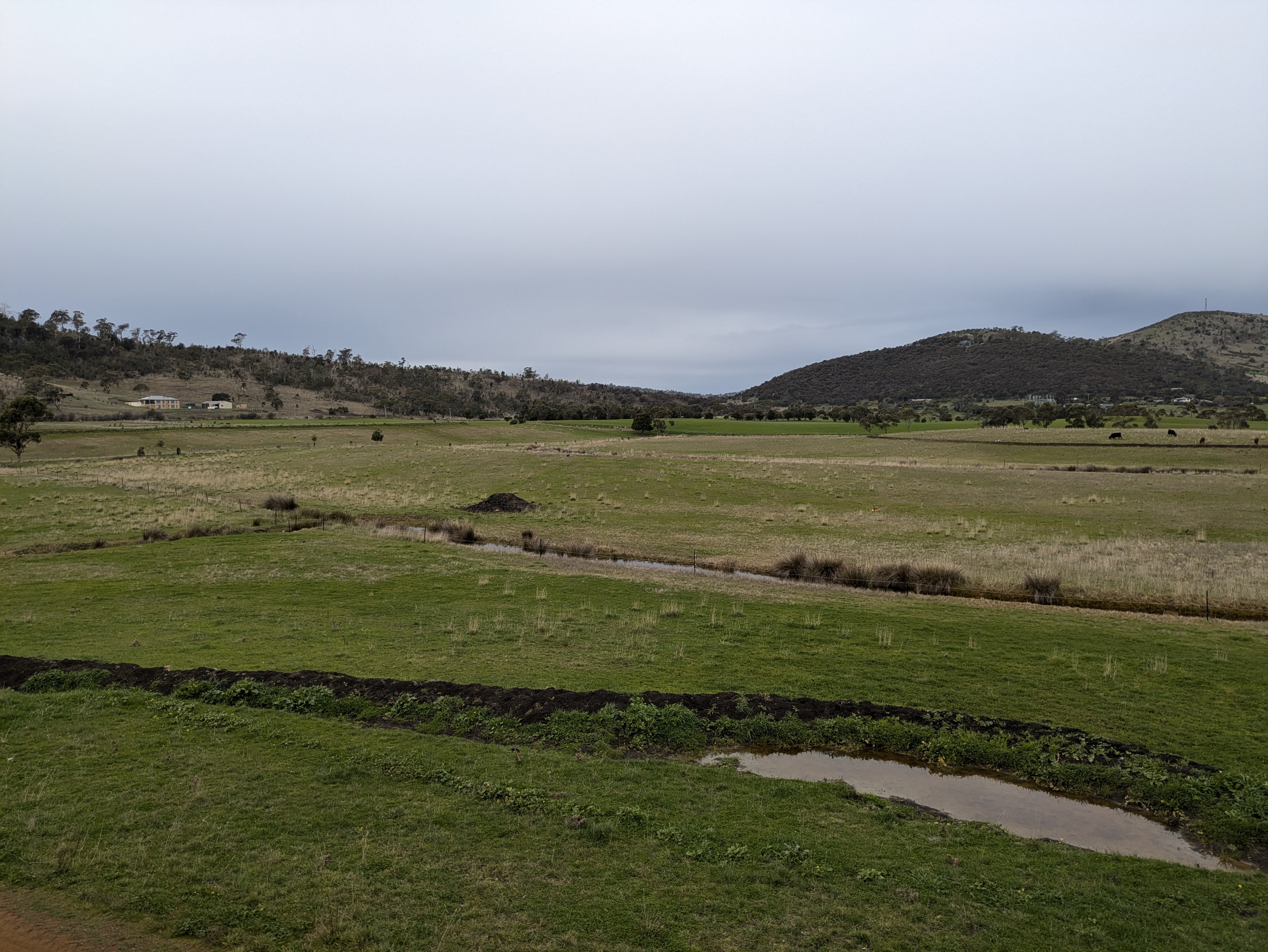 Exploring Wetland Restoration and Farm Dams