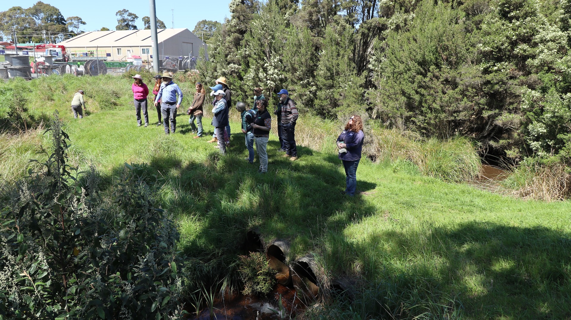 Burnie residents caring for their creeks