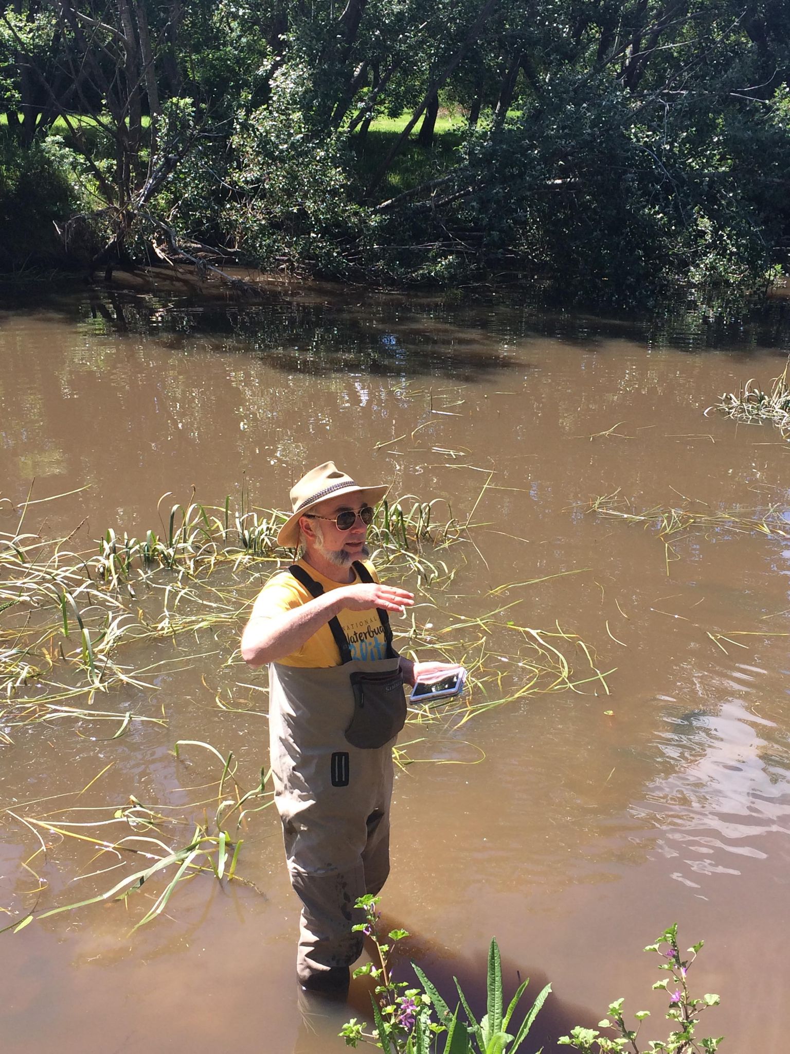Waterbug Surveys in Richmond 
