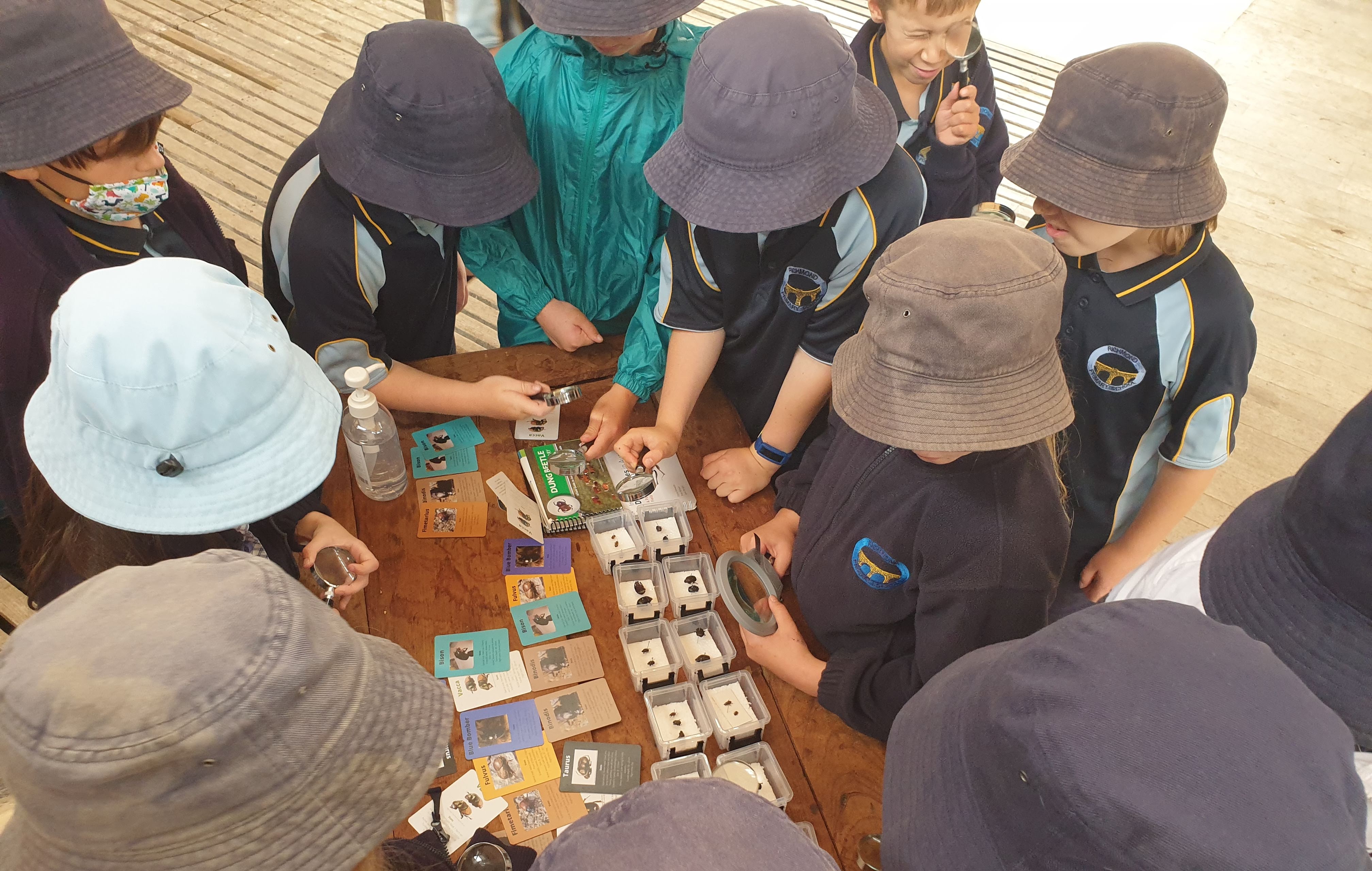 Digging for Dung Beetles - A Field Trip 