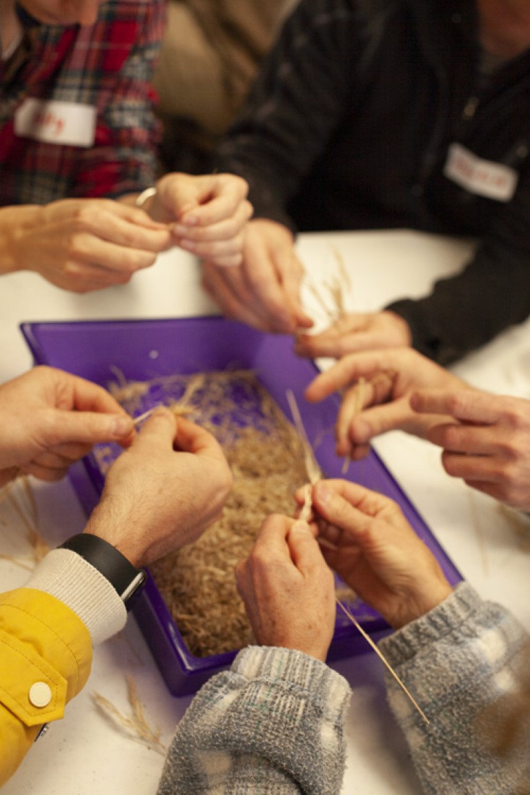 Building Seed Resilience - A Bicheno Workshop