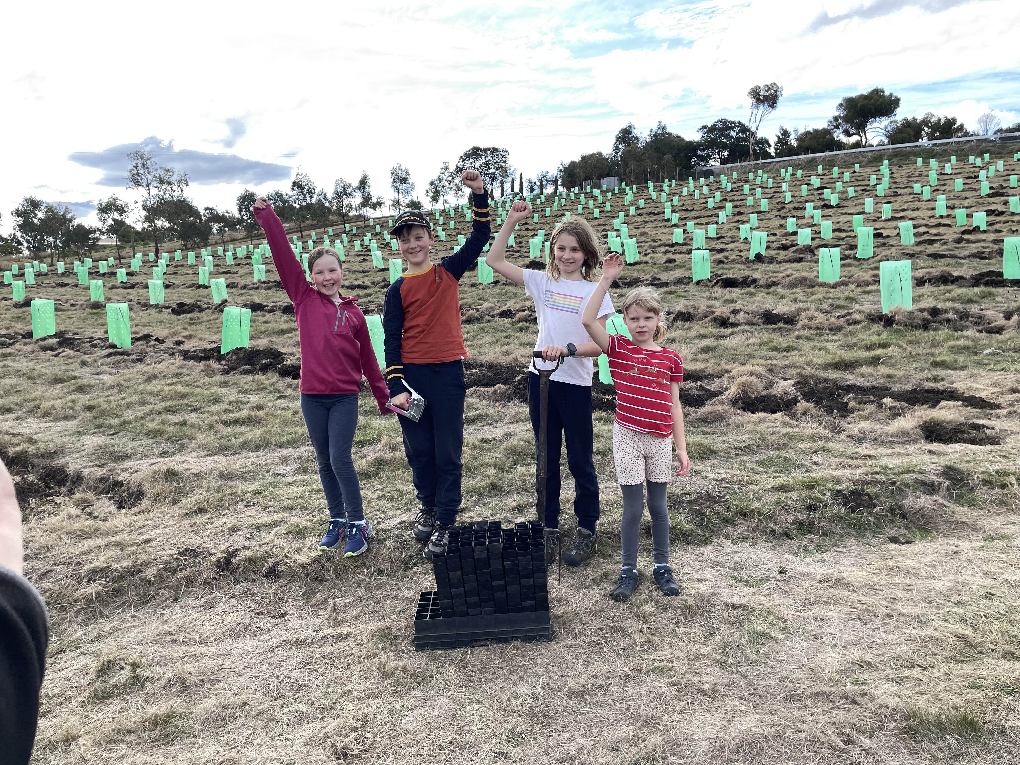 Planting for the Green and Gold Frog