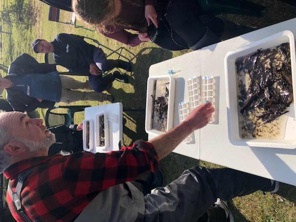 NWBR Waterwatch Event