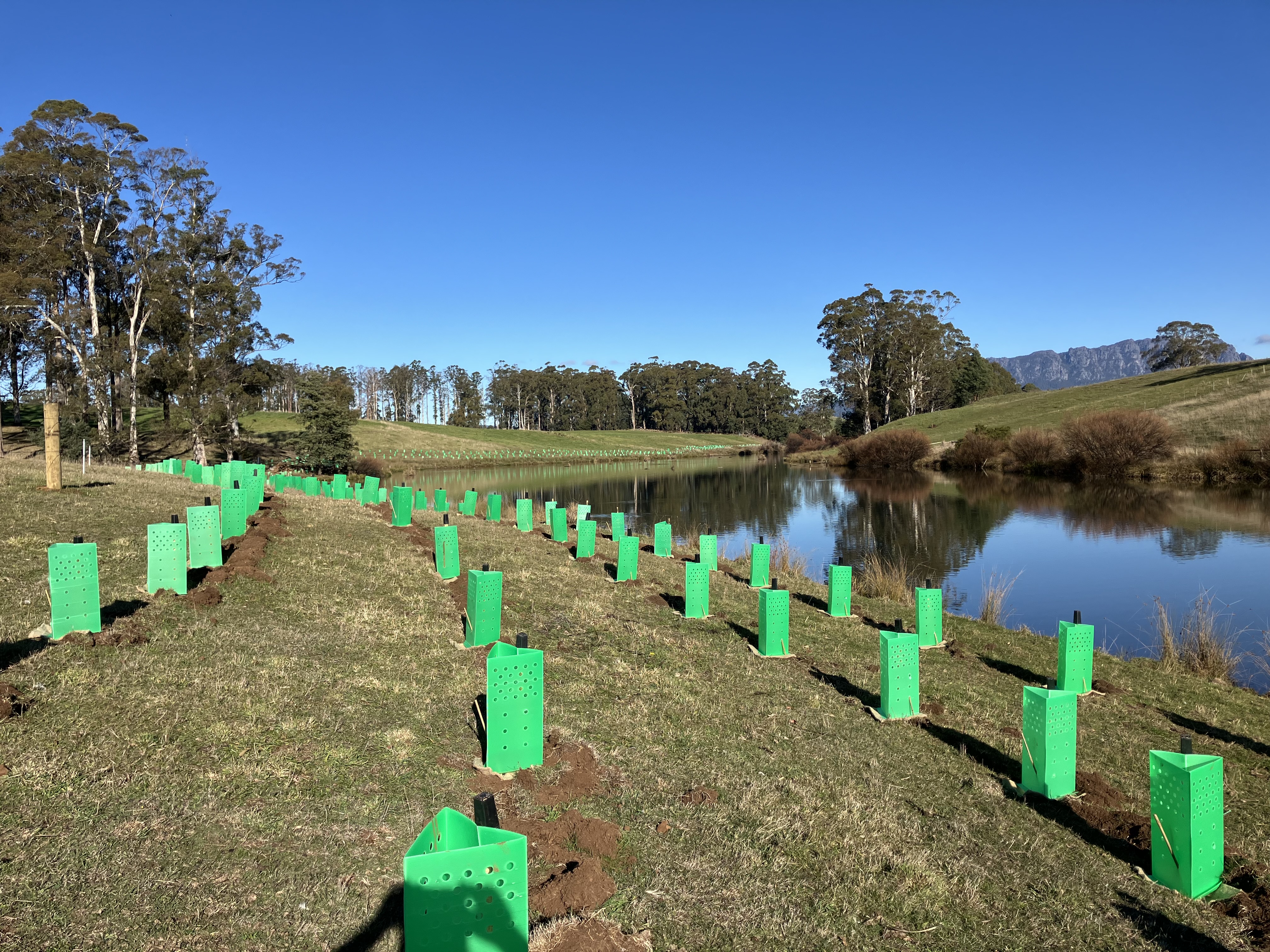 On-ground funding announced - Landcare Action Grant Open Round 5