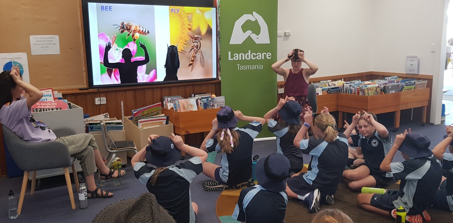 Bicheno students embrace Native Bee Guardian program