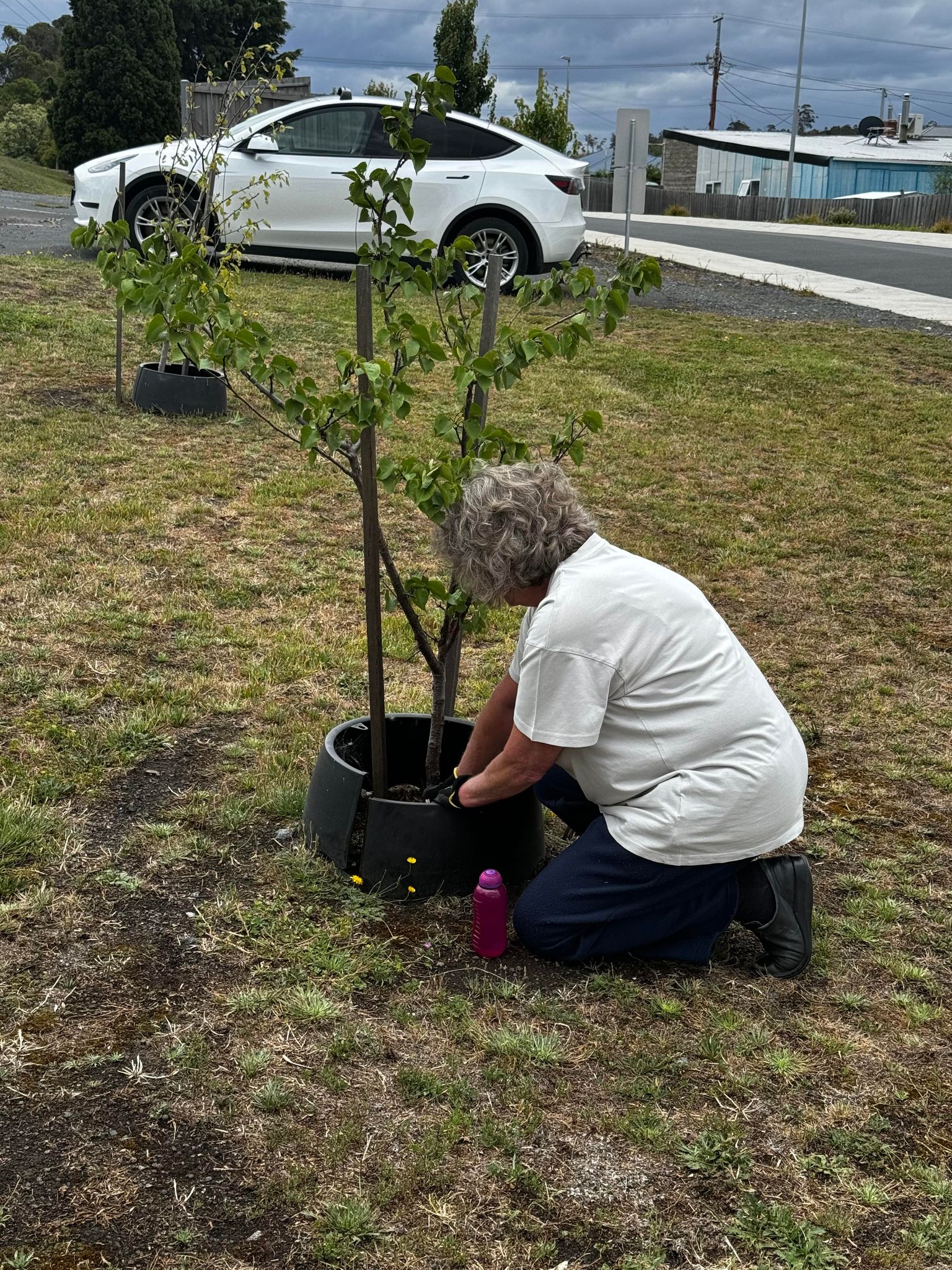 Connecting Communities with Landcare