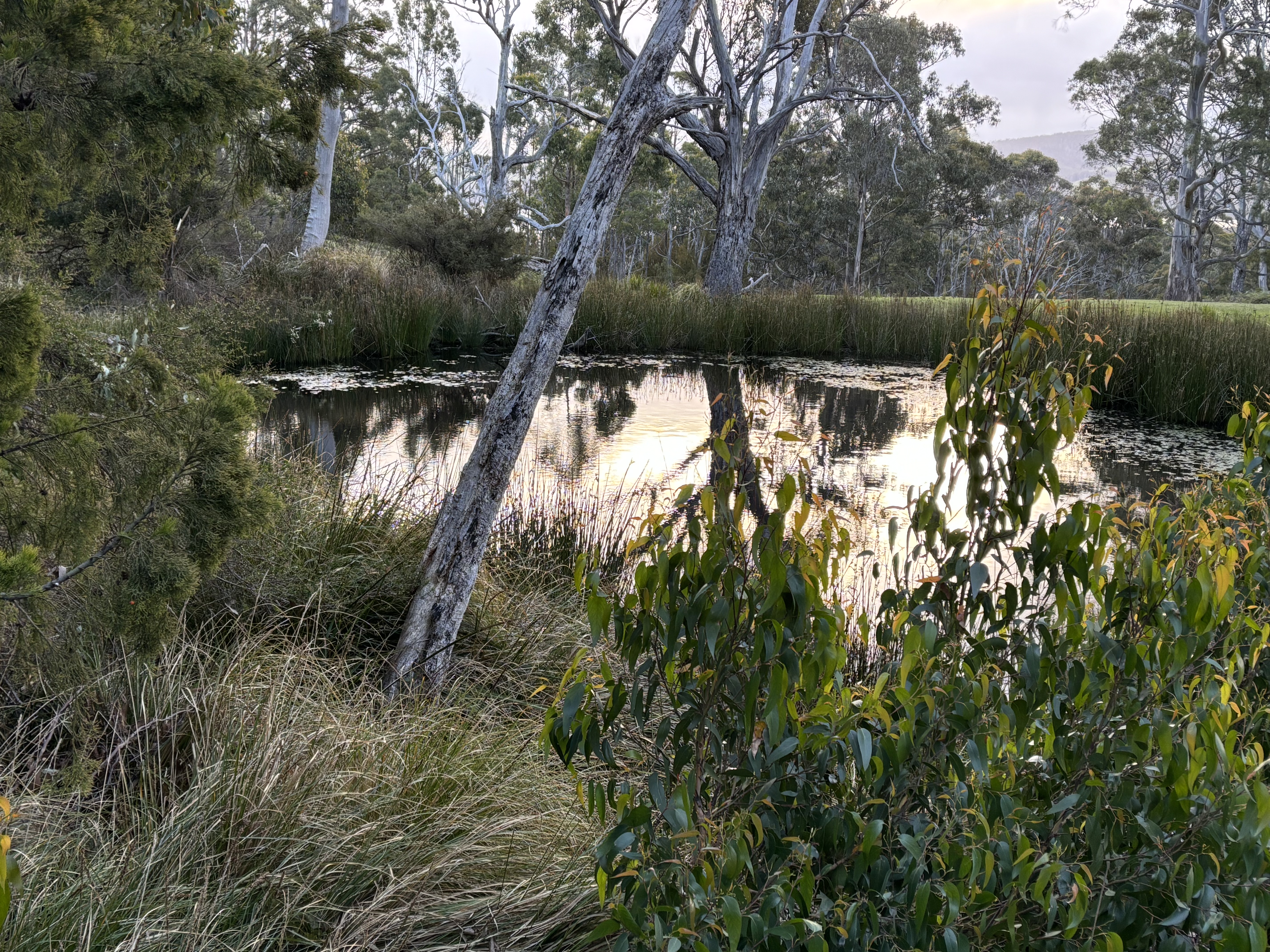 Catchment Connect - EOIs now open!