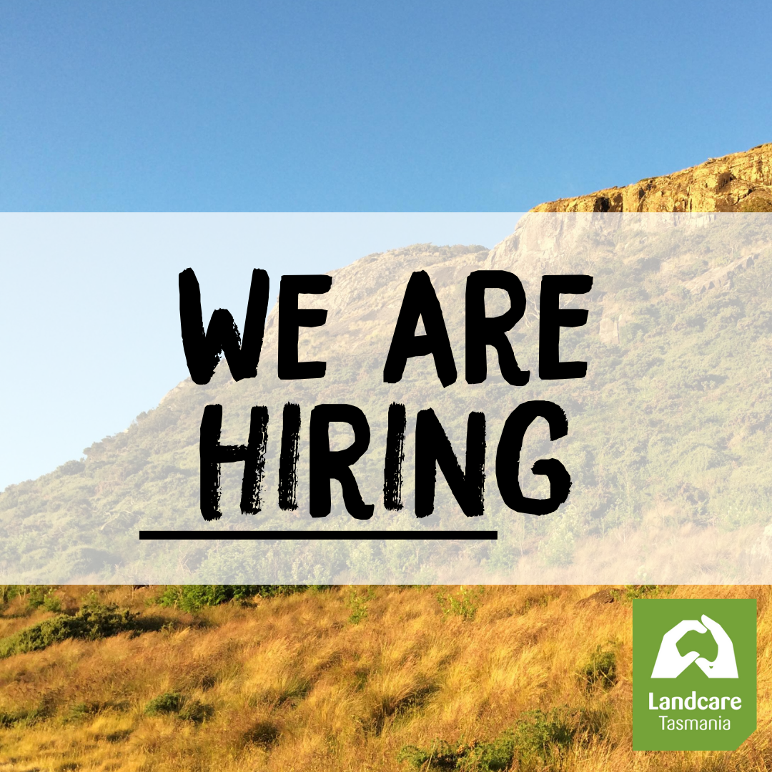 Position Available: Executive Assistant