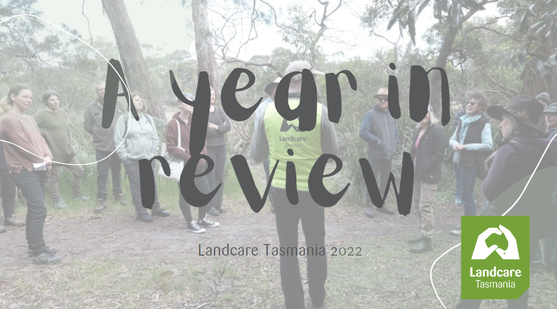 A year in review