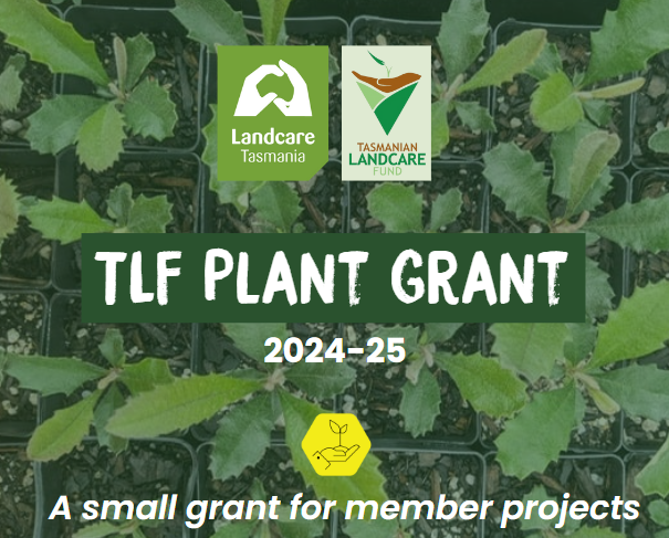 TLF Plant Grant Returns for 2024-2025