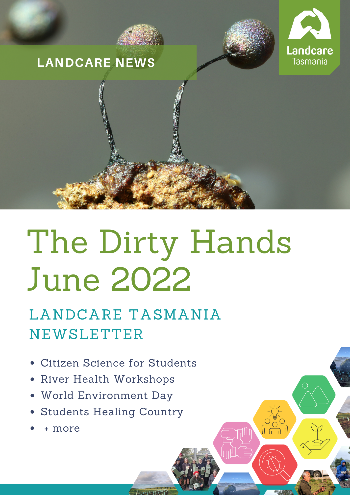 The Dirty Hands - June 2022