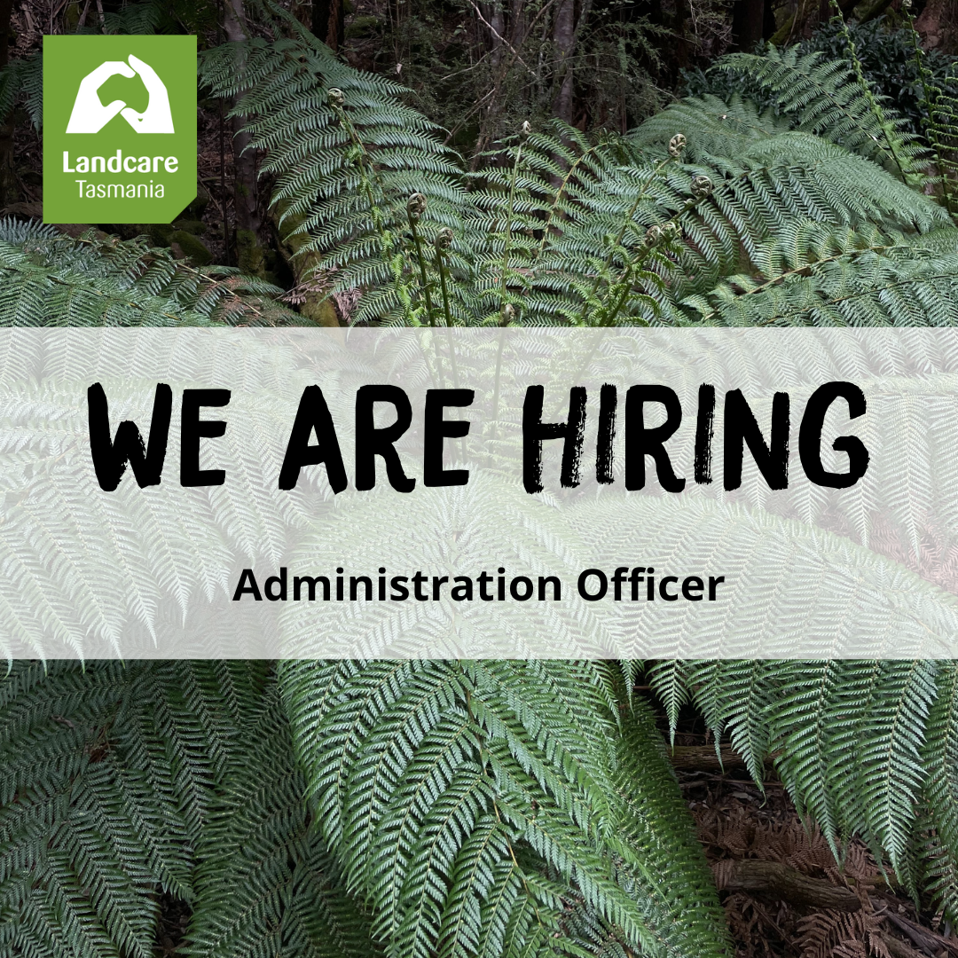 Join our team!