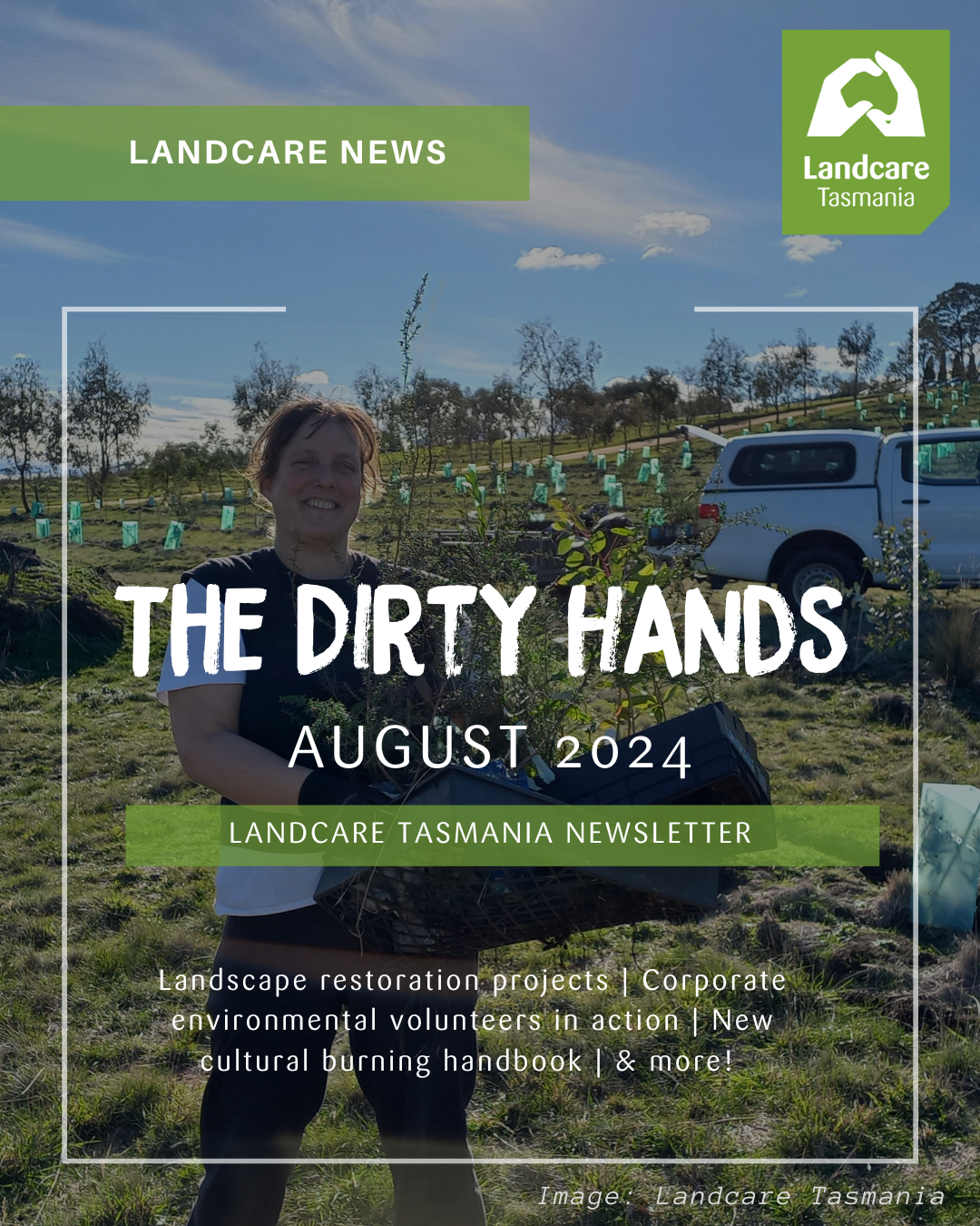 The Dirty Hands newsletter August 2024