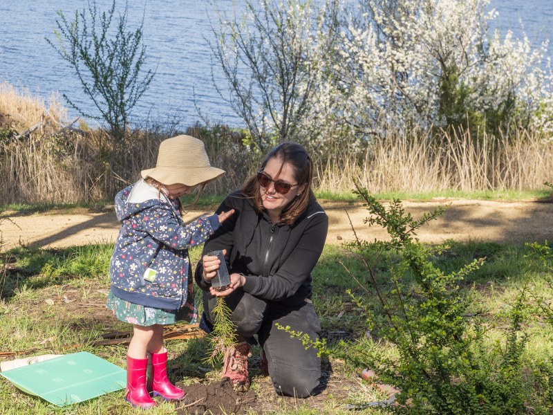 The wellbeing effects of participating in Landcare