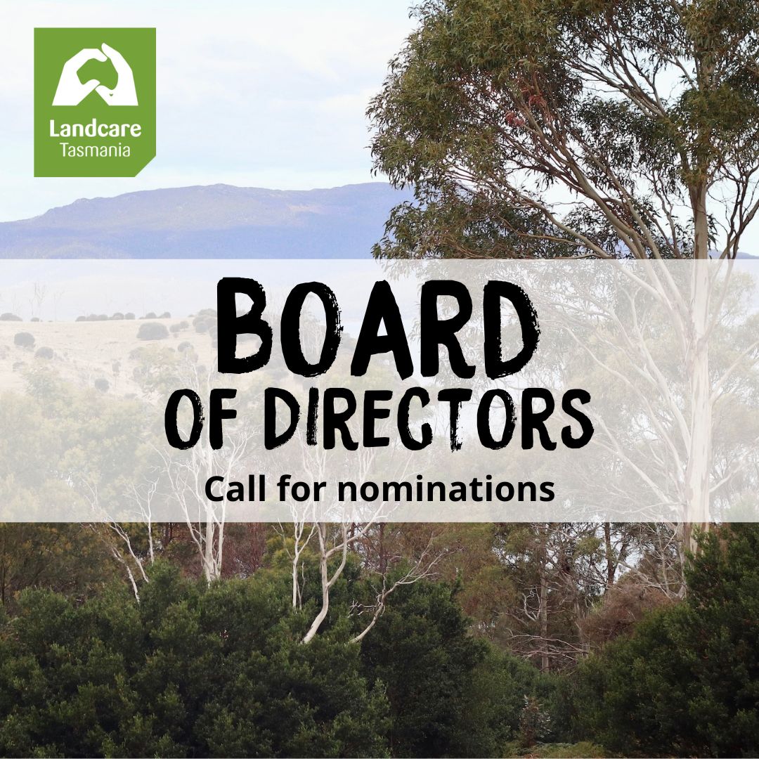 Join our Board of Directors! - now closed