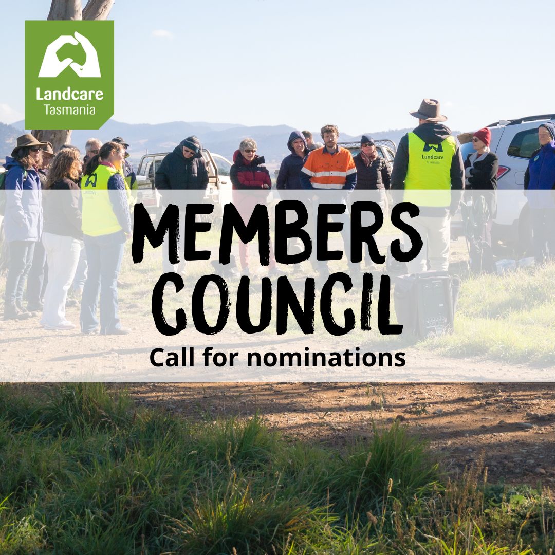 Join our Members Council!