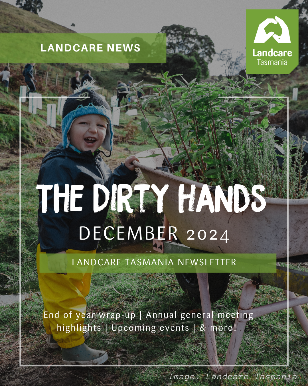 The Dirty Hands newsletter December 2024