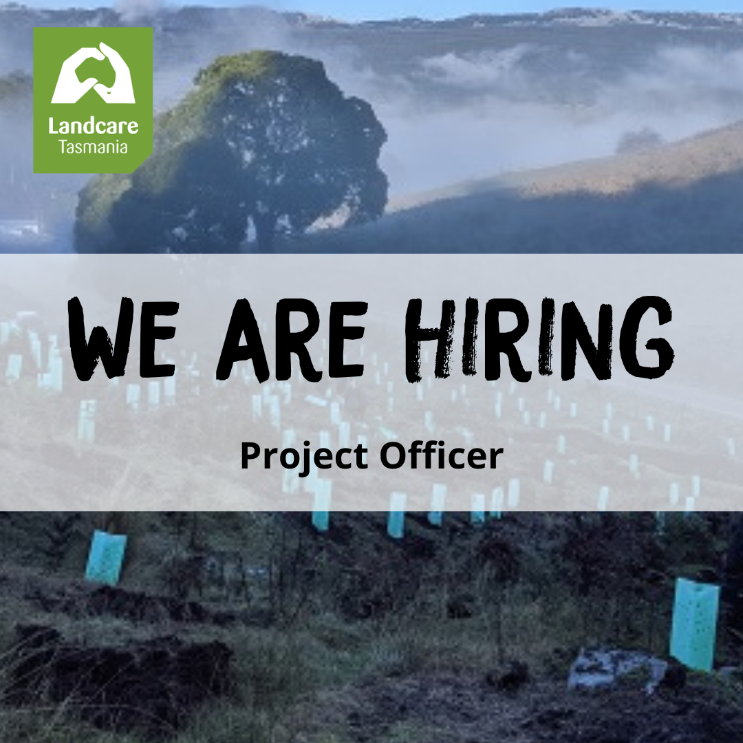 We are hiring!