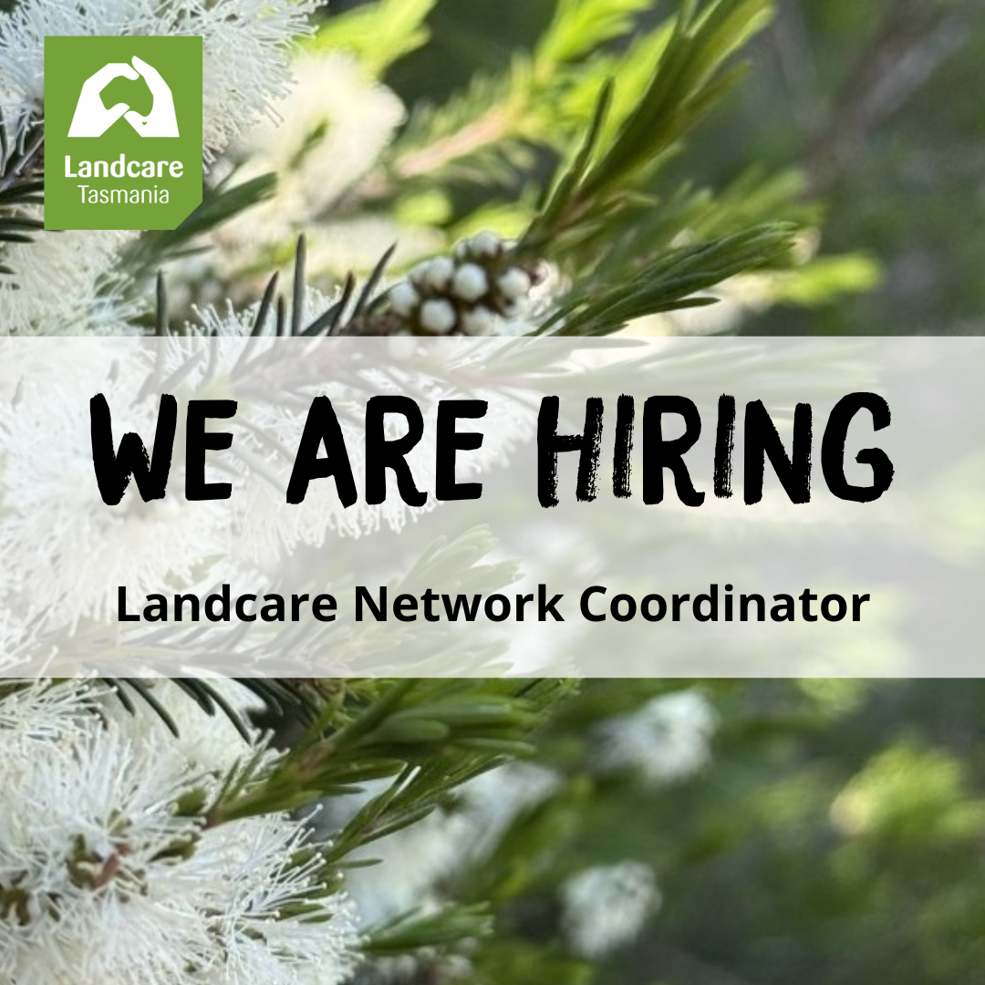 Join our team!