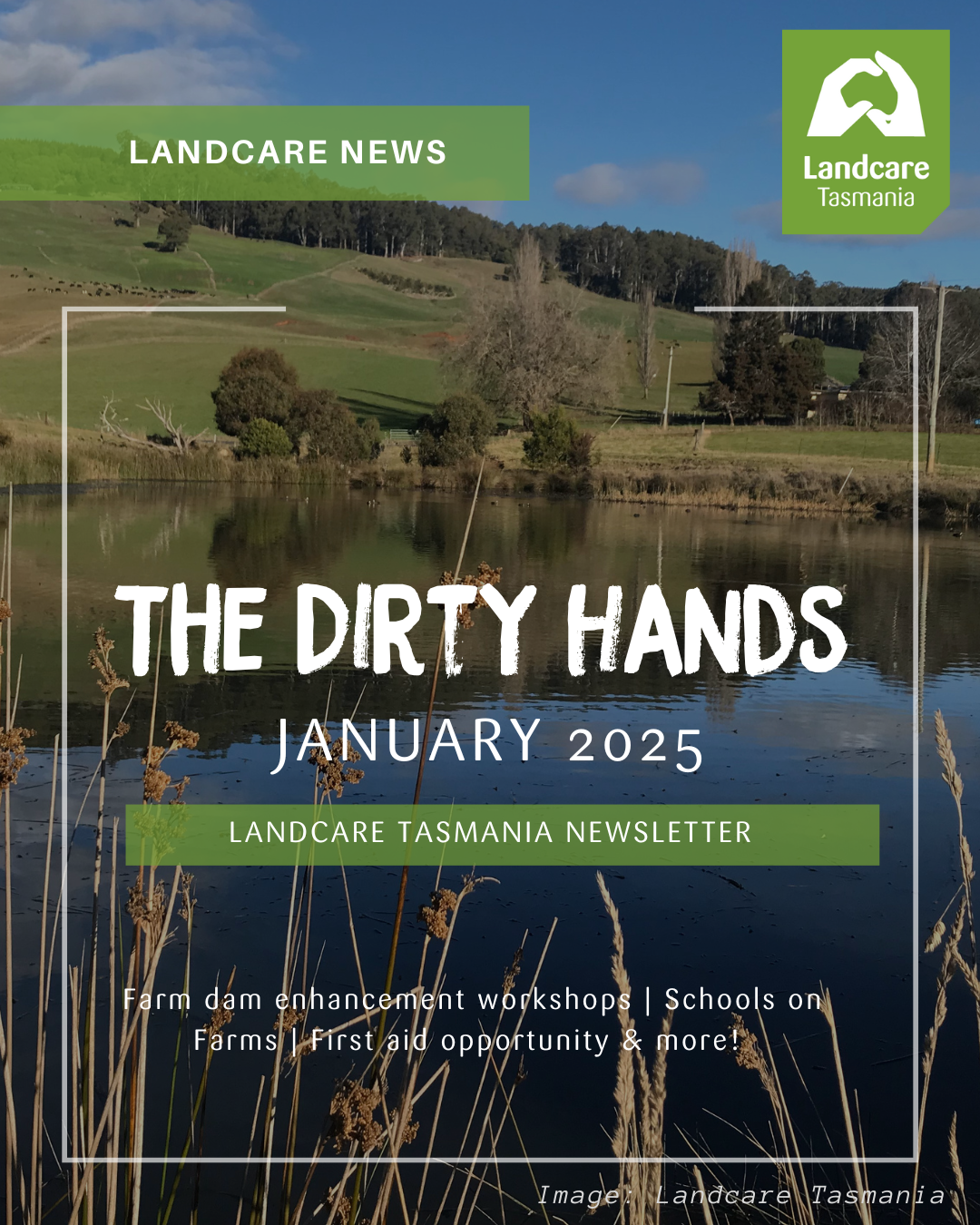 The Dirty Hands newsletter January 2025