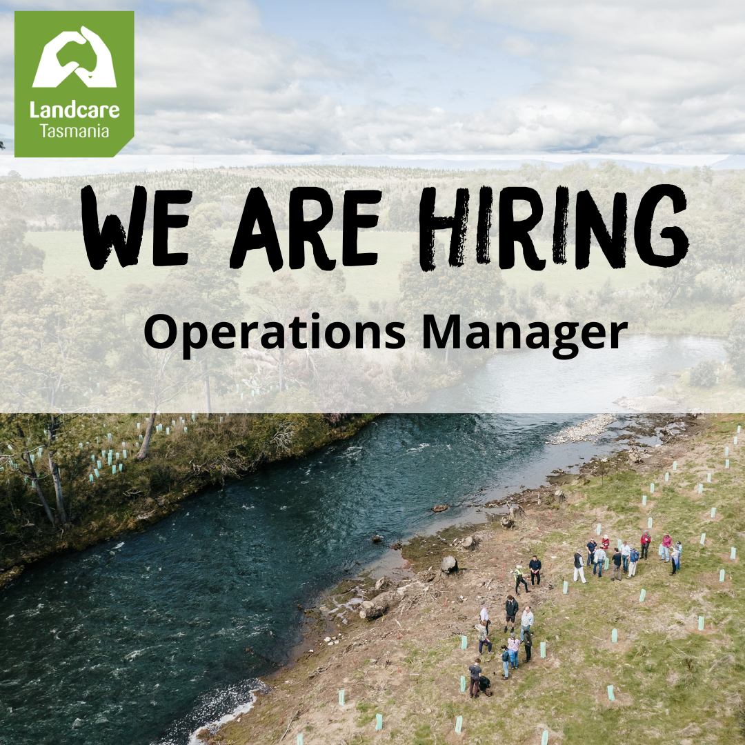 We are hiring!