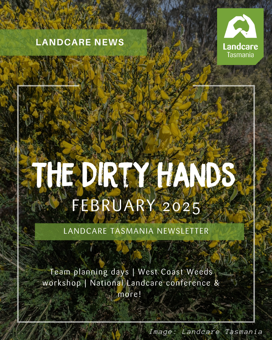 The Dirty Hands newsletter February 2025