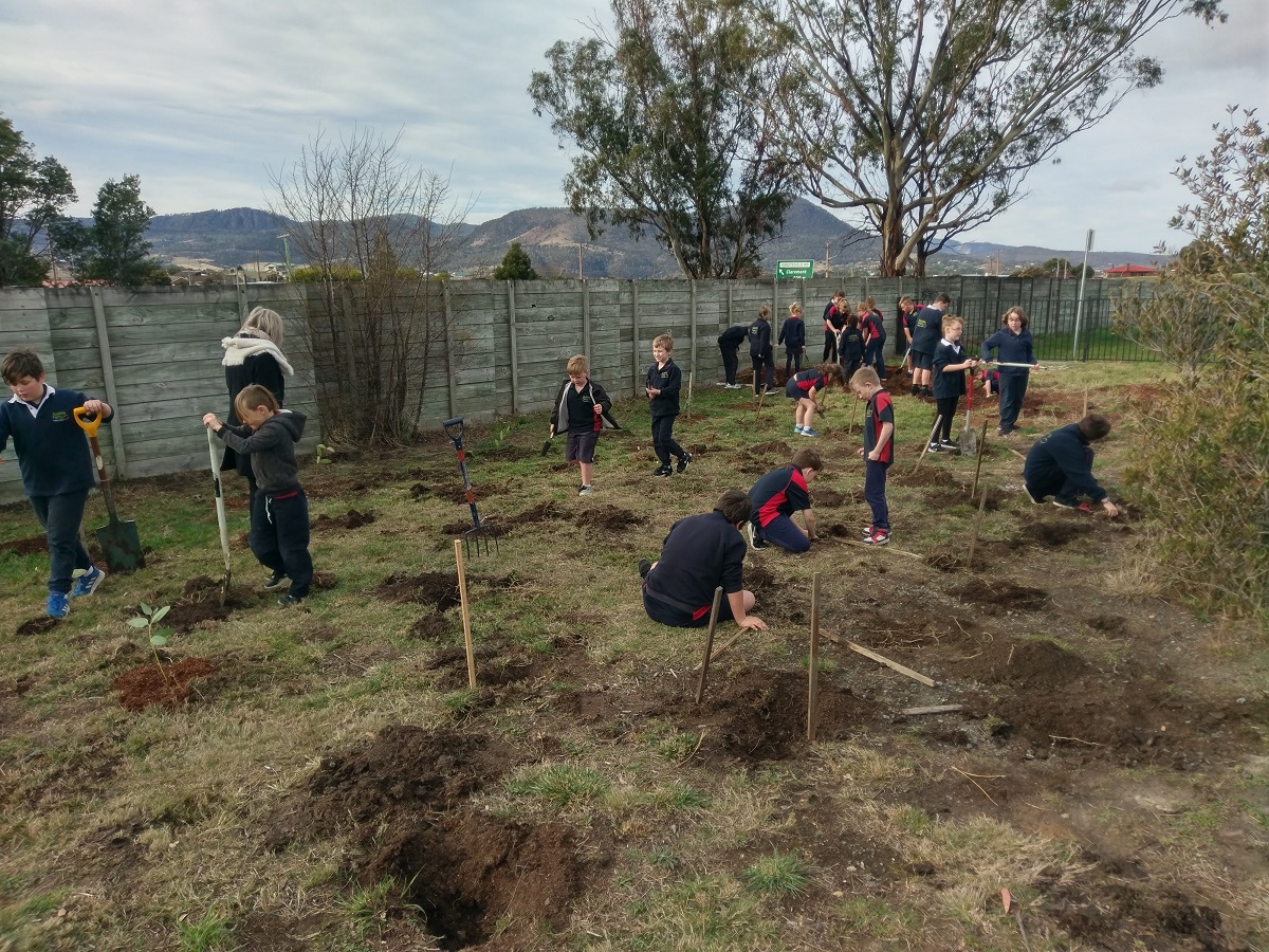 Young Landcarers