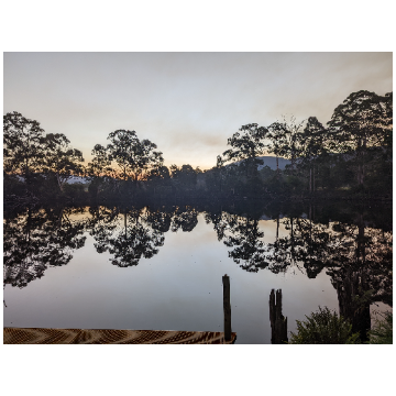 Friends of Mosquito Point logo