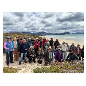 Nipaluna Nursery logo