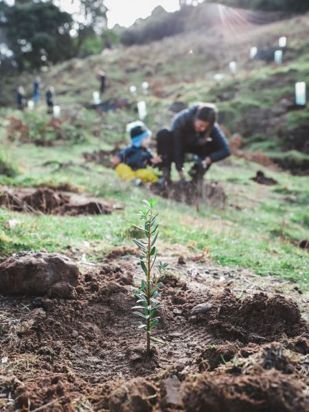 Succession Planning Resources