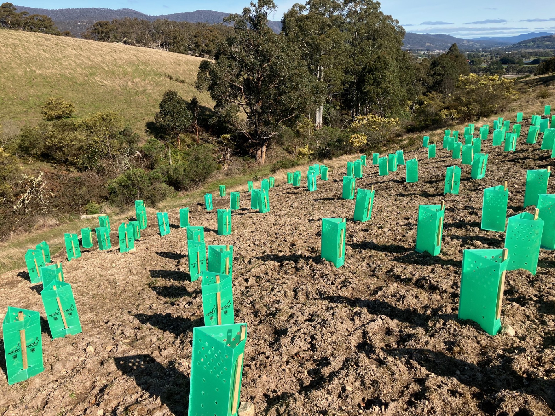Plant Grant 2023-24