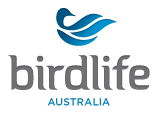 birdlife logo logo