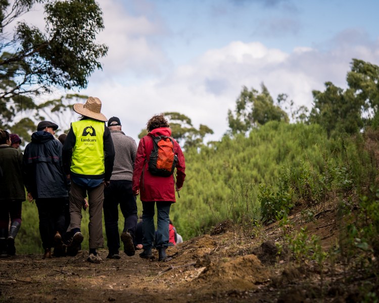 Major donors to the Tasmanian Landcare Fund (TLF)
