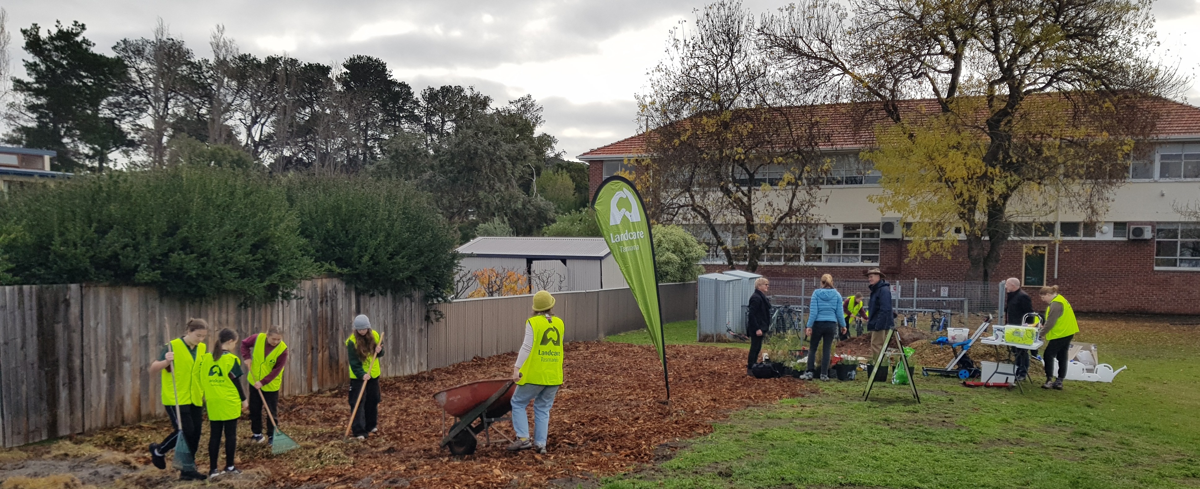 Planting a pocket forest at Clarence High School