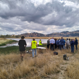 Quick Response Grant application