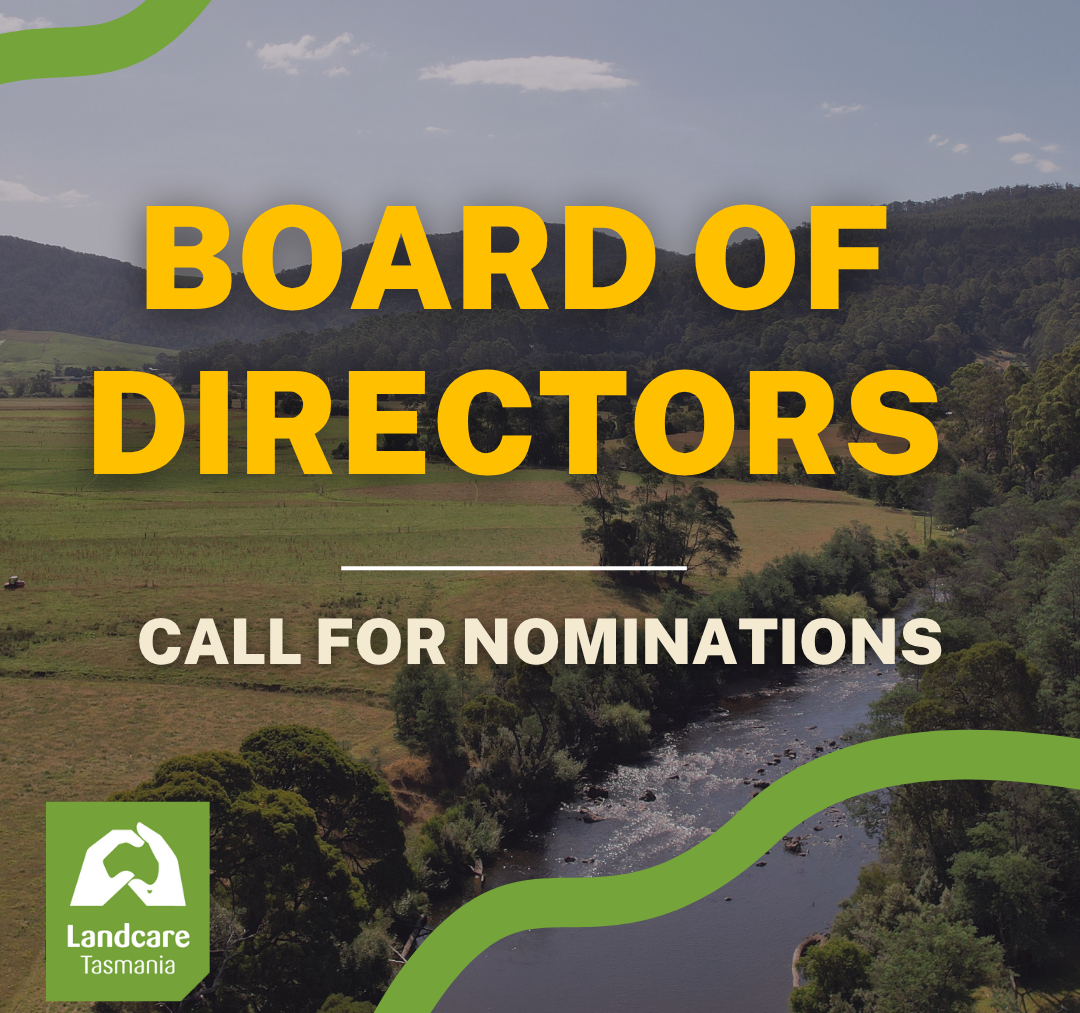 Join our board of directors!