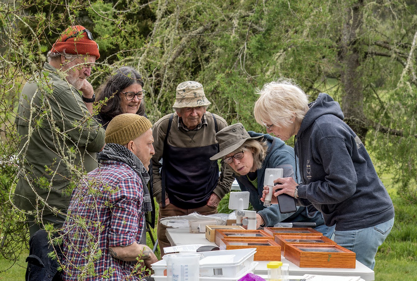 Great day for hunting bugs & creating art