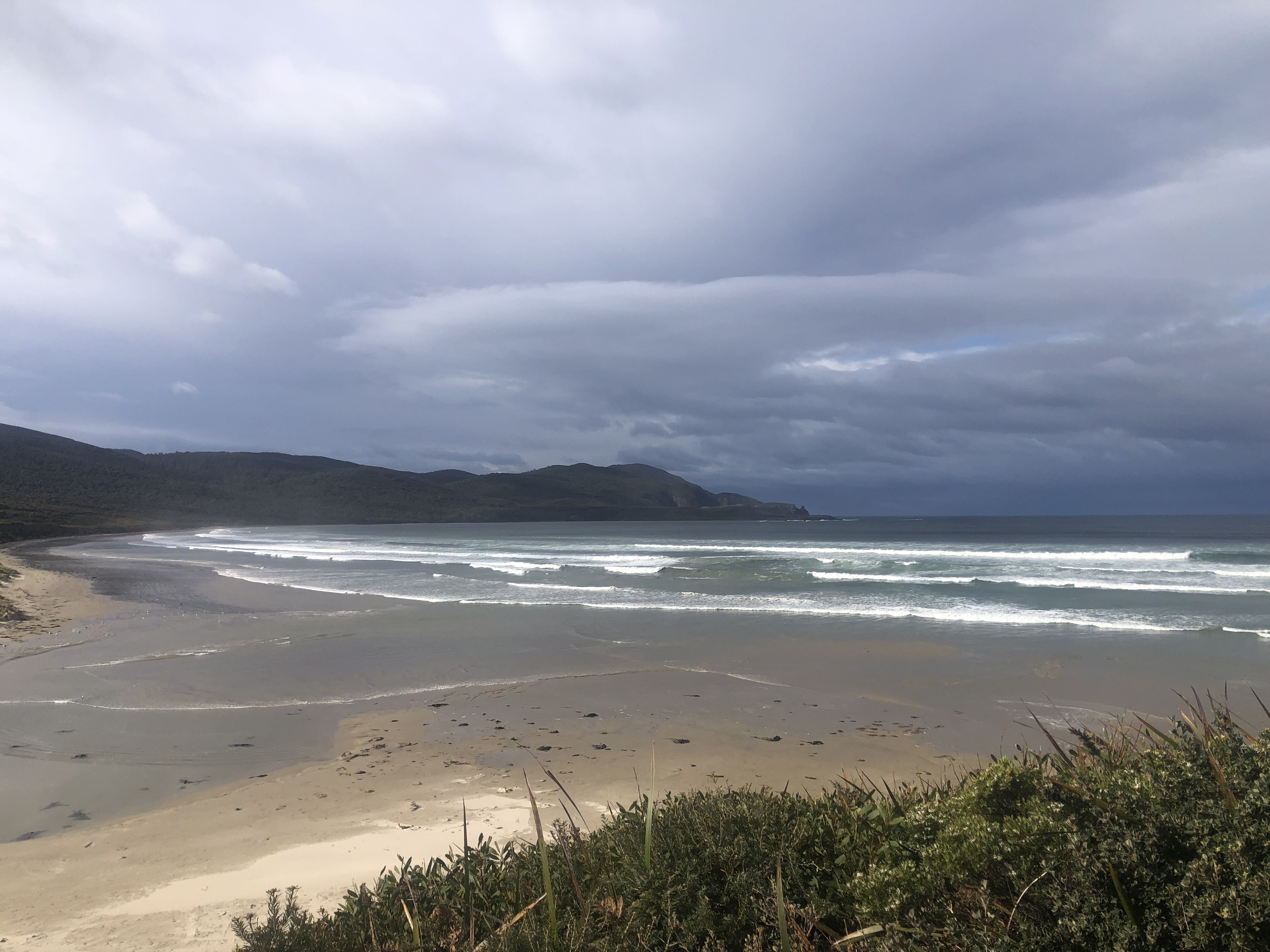 Restoring Cloudy Bay for swift parrots